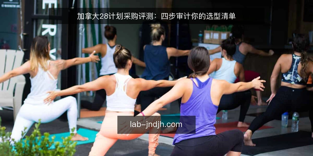 加拿大28计划采购评测：四步审计你的选型清单 — 为什么现在要审计你的加拿大28计划选型 配图
