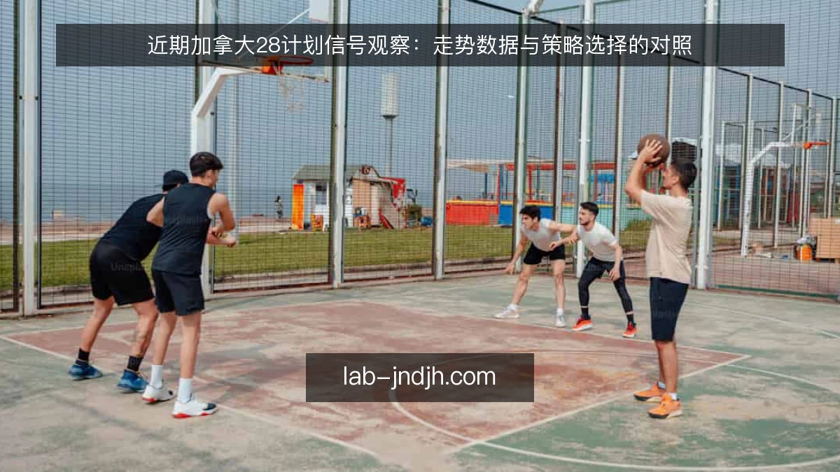 近期加拿大28计划信号观察:走势数据与策略选择的对照
