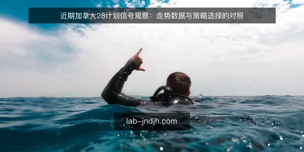 近期加拿大28计划信号观察：走势数据与策略选择的对照 — 判断当前信号节奏的决策依据 配图