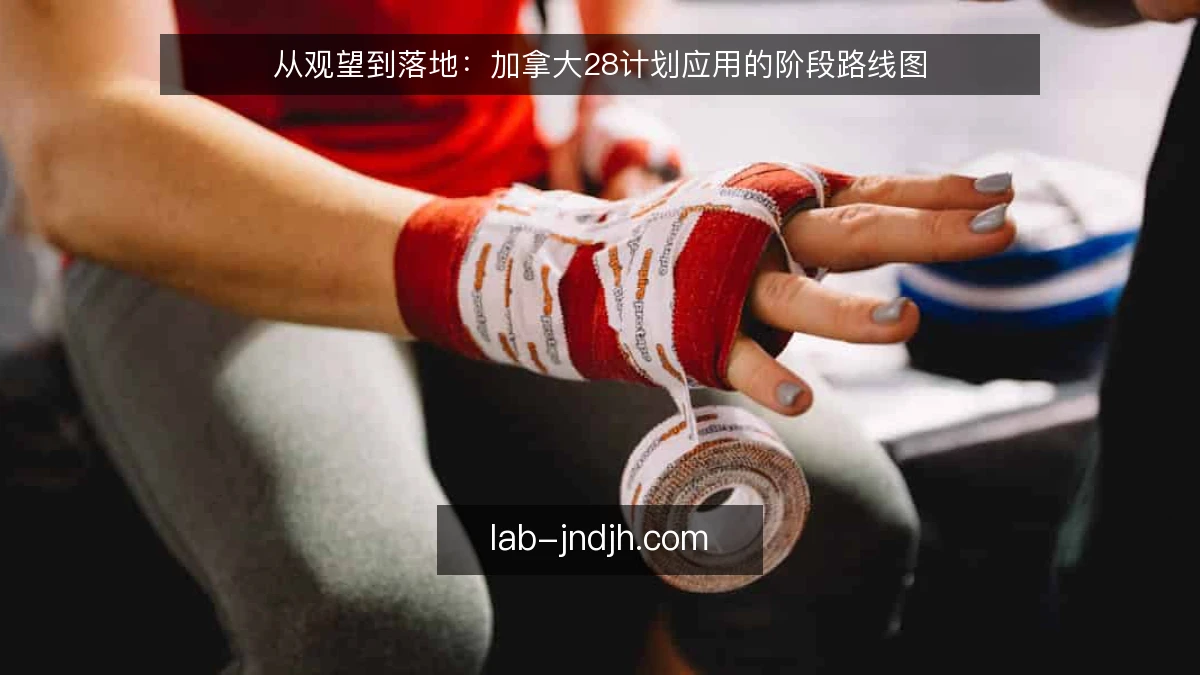 从观望到落地：加拿大28计划应用的阶段路线图