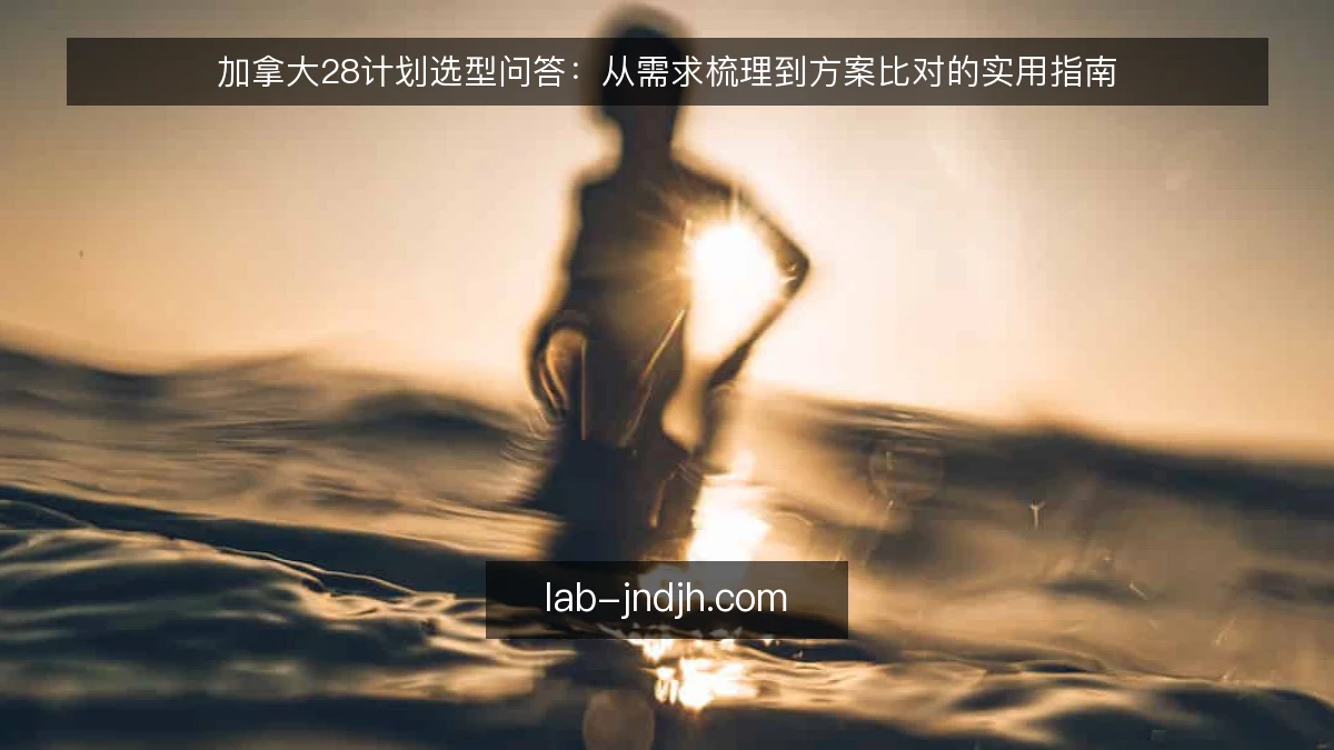 加拿大28计划选型问答：从需求梳理到方案比对的实用指南