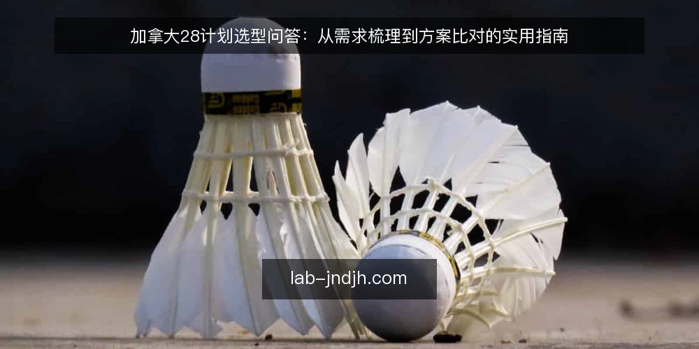 加拿大28计划选型问答：从需求梳理到方案比对的实用指南 — 如何界定加拿大28计划的核心需求？ 配图