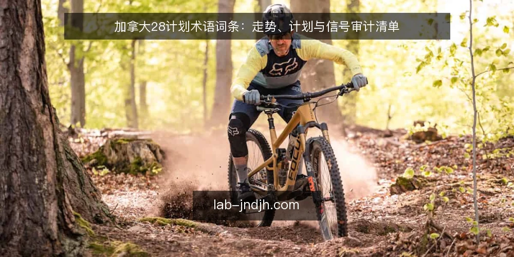 加拿大28计划术语词条：走势、计划与信号审计清单 — 为何现在审计加拿大28计划术语 配图