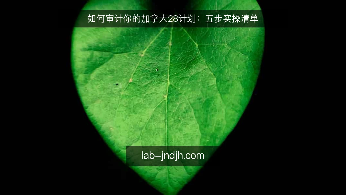 如何审计你的加拿大28计划:五步实操清单