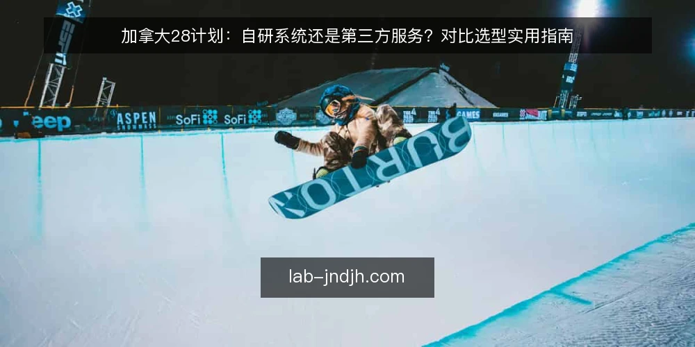 加拿大28计划：自研系统还是第三方服务？对比选型实用指南 — 明确需求边界：自研还是采购的决策起点 配图