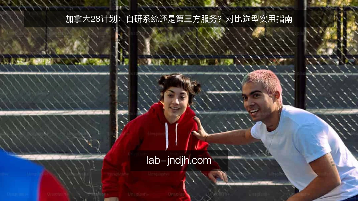 加拿大28计划：自研系统还是第三方服务？对比选型实用指南