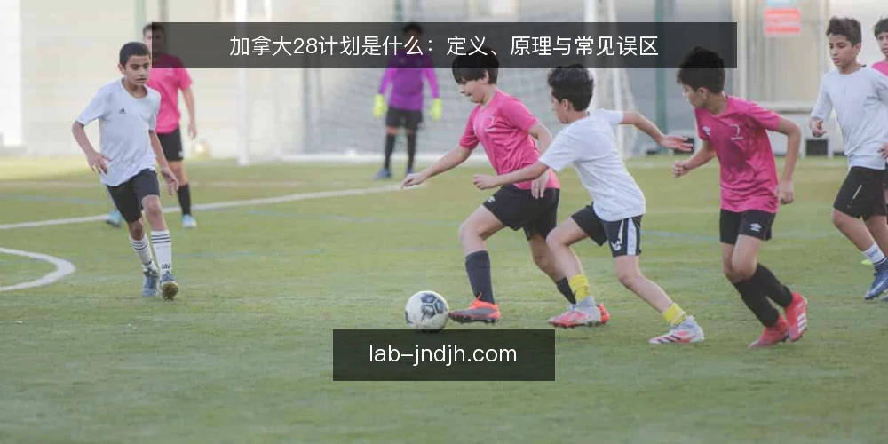 加拿大28计划是什么：定义、原理与常见误区 — 加拿大28计划的基本定义与运作机制 配图