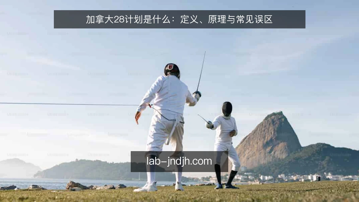 加拿大28计划是什么:定义、原理与常见误区