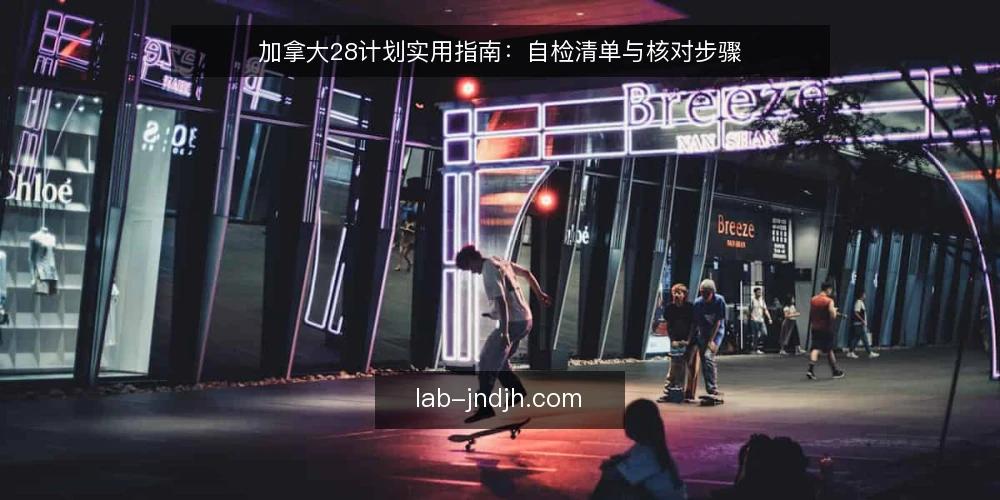 加拿大28计划实用指南:自检清单与核对步骤 — 为何现在需要自检 配图