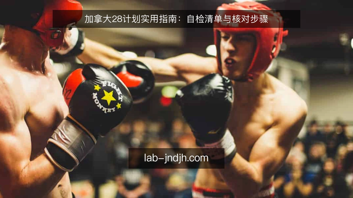 加拿大28计划实用指南：自检清单与核对步骤