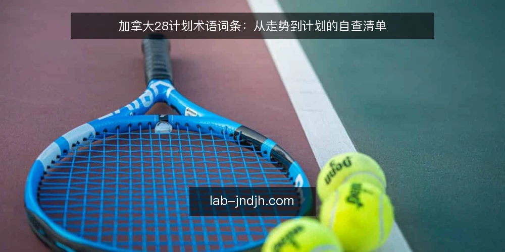 加拿大28计划术语词条：从走势到计划的自查清单 — 为什么现在需要审计术语 配图