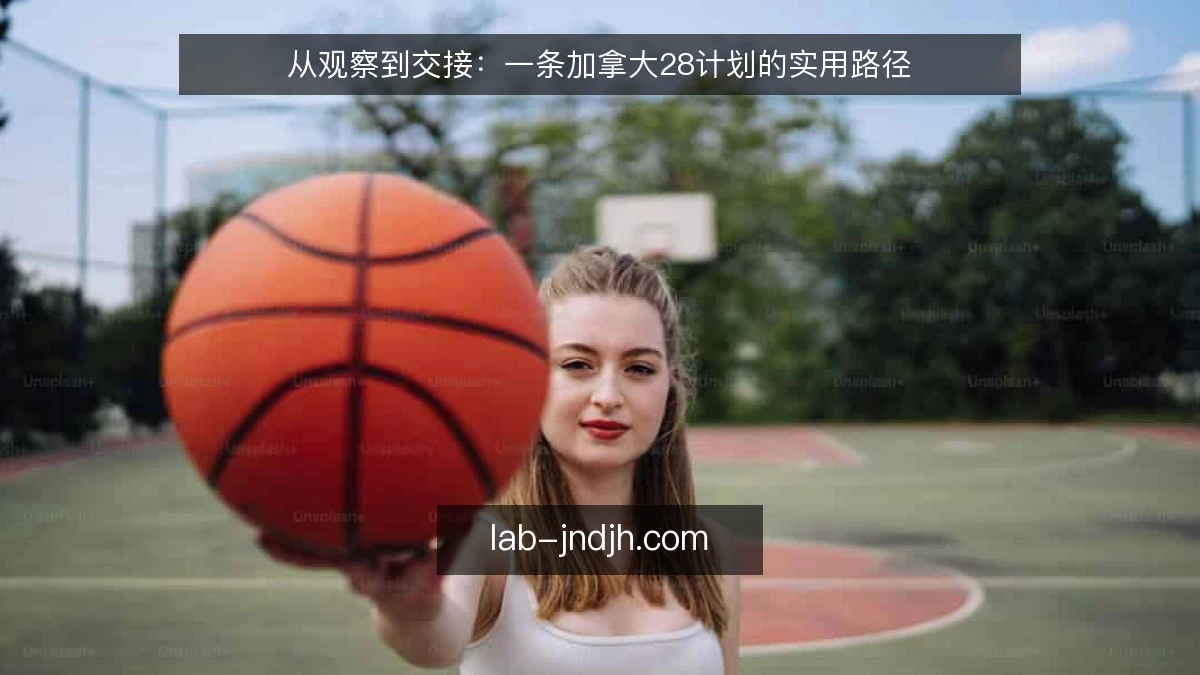 从观察到交接：一条加拿大28计划的实用路径
