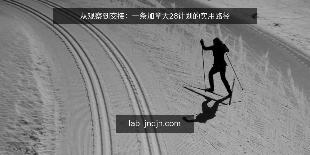 从观察到交接：一条加拿大28计划的实用路径 — 起点：明确你对加拿大28计划的真实需求 配图