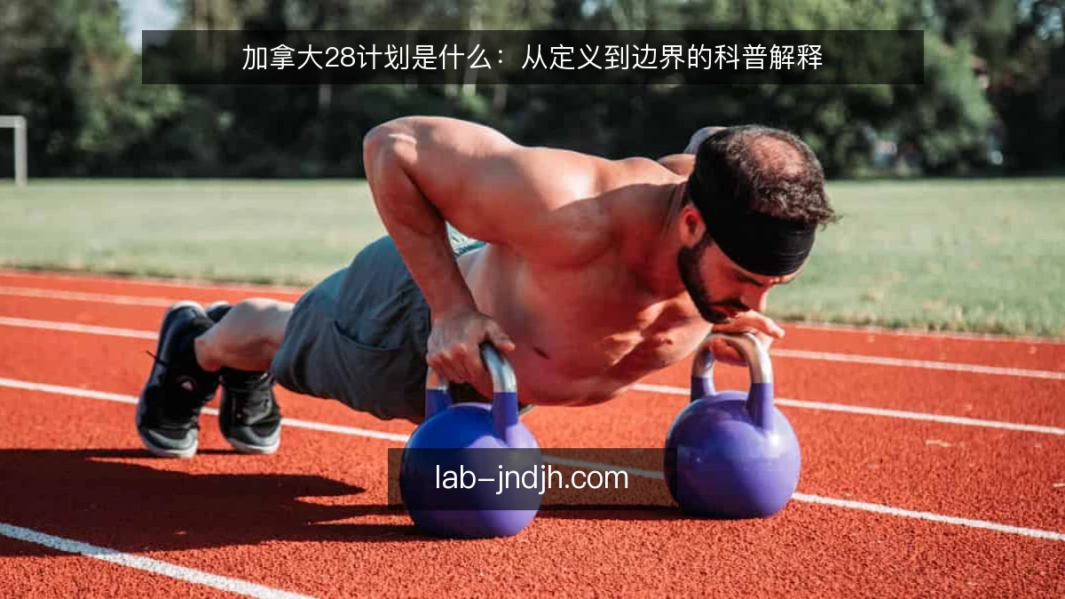 加拿大28计划是什么：从定义到边界的科普解释