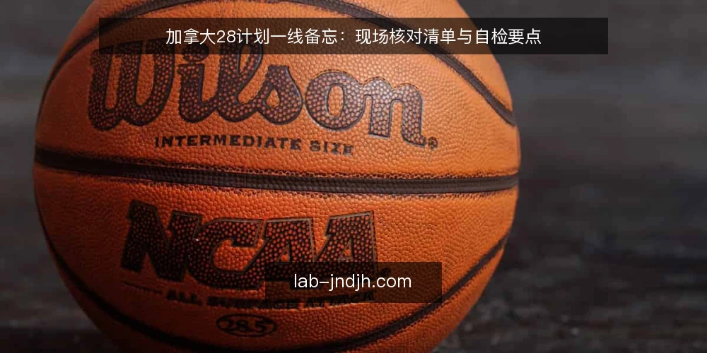 加拿大28计划一线备忘:现场核对清单与自检要点 — 现场先看哪些信号 配图