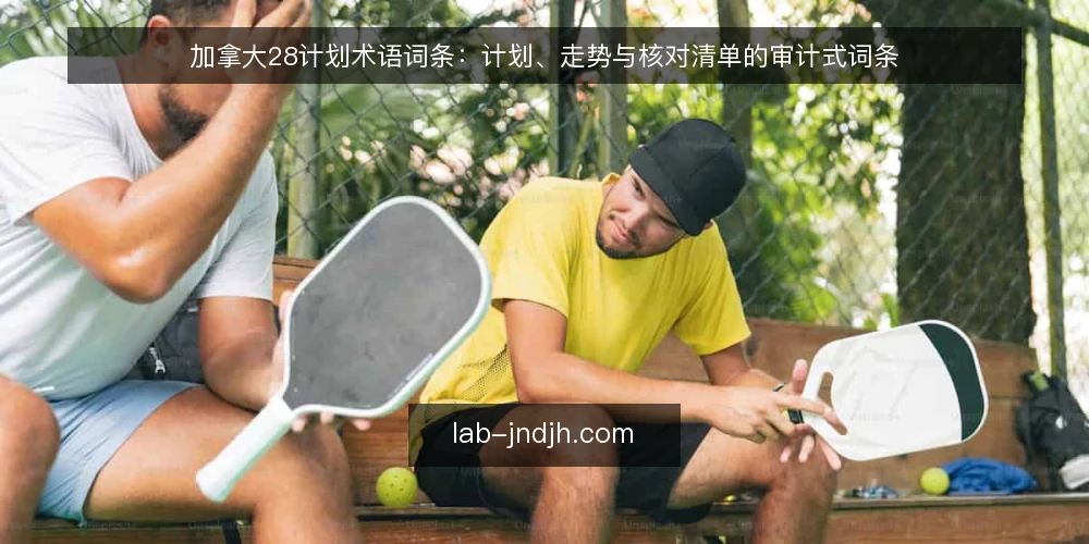 加拿大28计划术语词条：计划、走势与核对清单的审计式词条 — 为什么现在适合做术语审计 配图