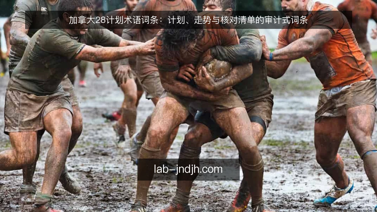 加拿大28计划术语词条：计划、走势与核对清单的审计式词条