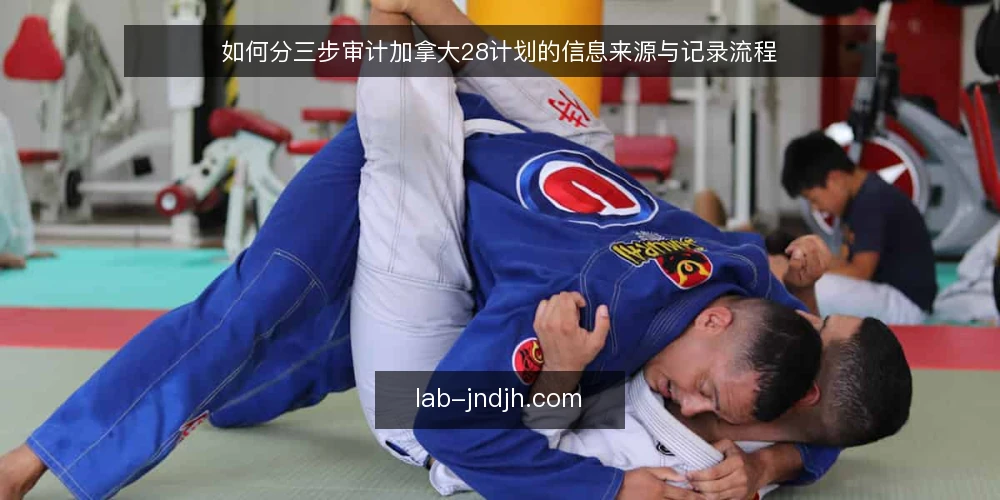 如何分三步审计加拿大28计划的信息来源与记录流程 — 为什么现在要做一次加拿大28计划审计 配图
