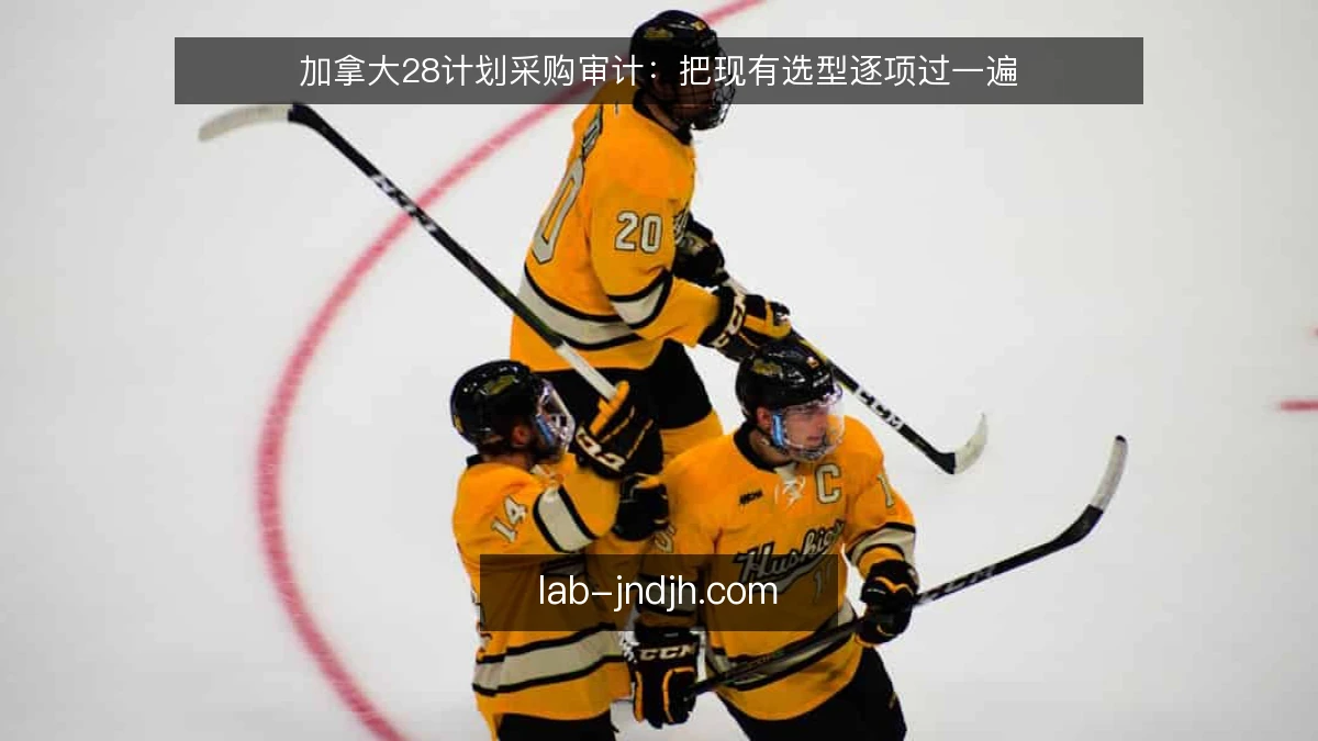 加拿大28计划采购审计：把现有选型逐项过一遍