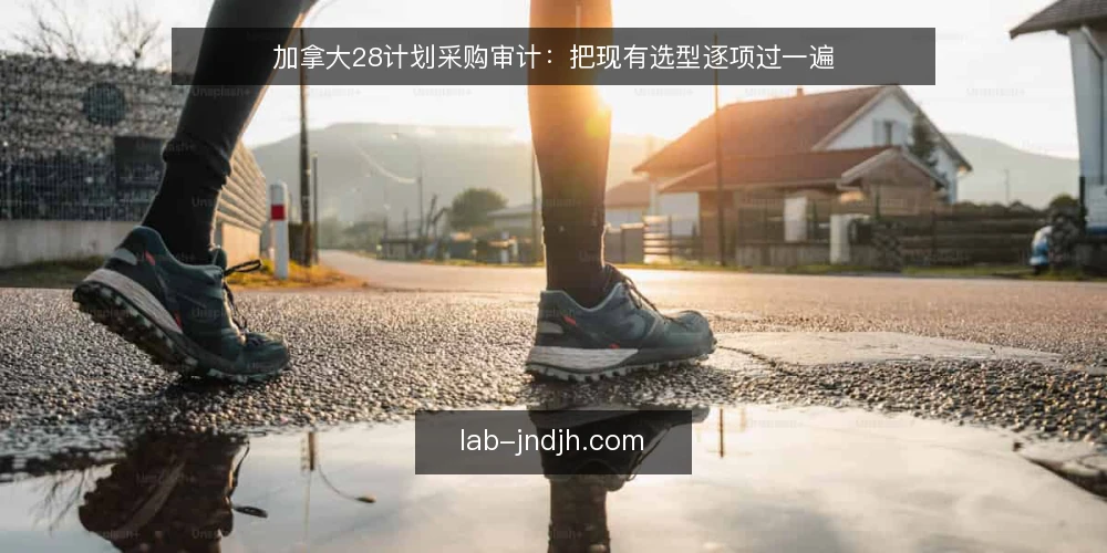 加拿大28计划采购审计：把现有选型逐项过一遍 — 为什么现在要审计一次 配图